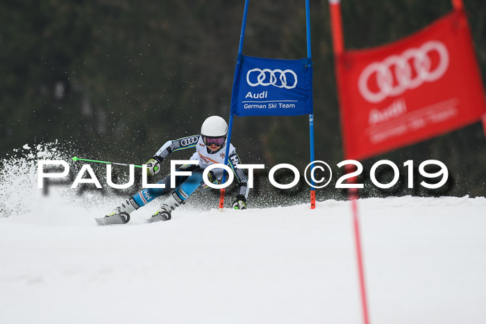 DSV Deutscher Schülercup U12 Finale 2019, Race Cross 02.03.2019