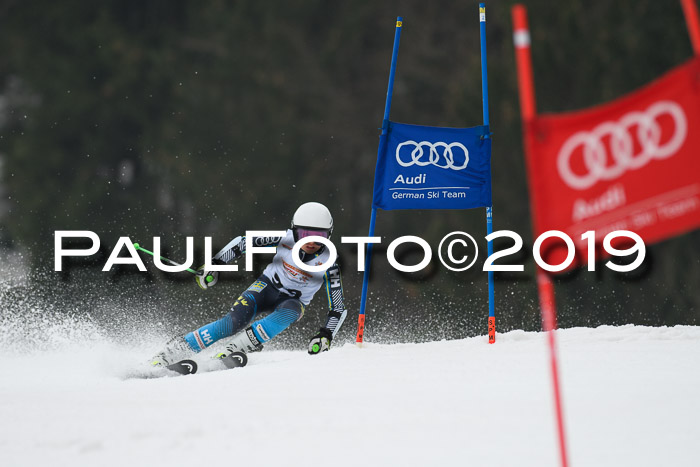 DSV Deutscher Schülercup U12 Finale 2019, Race Cross 02.03.2019