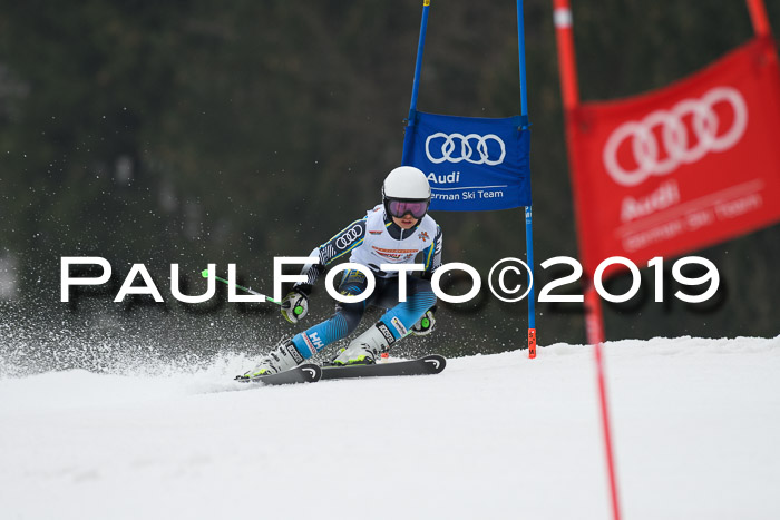 DSV Deutscher Schülercup U12 Finale 2019, Race Cross 02.03.2019