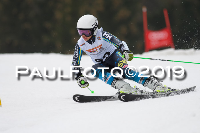 DSV Deutscher Schülercup U12 Finale 2019, Race Cross 02.03.2019