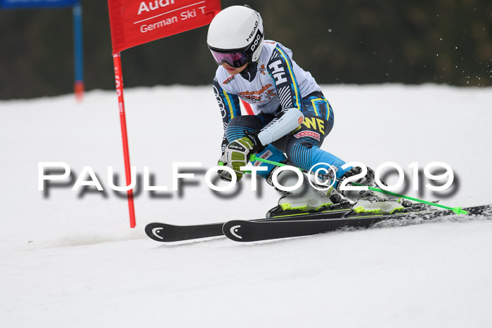DSV Deutscher Schülercup U12 Finale 2019, Race Cross 02.03.2019