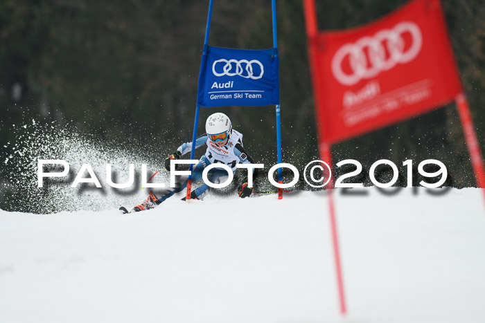 DSV Deutscher Schülercup U12 Finale 2019, Race Cross 02.03.2019