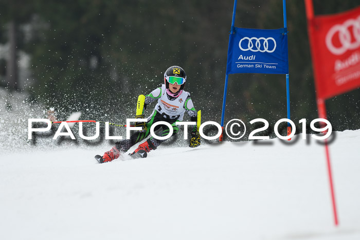 DSV Deutscher Schülercup U12 Finale 2019, Race Cross 02.03.2019