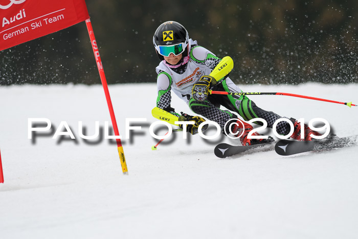 DSV Deutscher Schülercup U12 Finale 2019, Race Cross 02.03.2019
