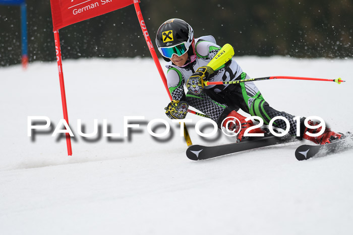 DSV Deutscher Schülercup U12 Finale 2019, Race Cross 02.03.2019