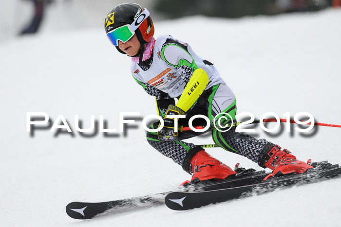 DSV Deutscher Schülercup U12 Finale 2019, Race Cross 02.03.2019