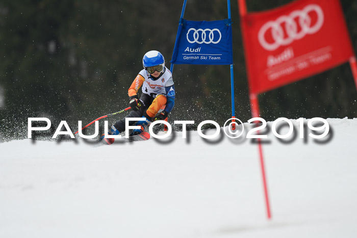 DSV Deutscher Schülercup U12 Finale 2019, Race Cross 02.03.2019