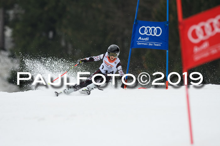 DSV Deutscher Schülercup U12 Finale 2019, Race Cross 02.03.2019