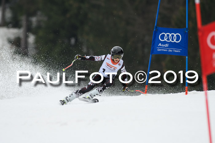 DSV Deutscher Schülercup U12 Finale 2019, Race Cross 02.03.2019