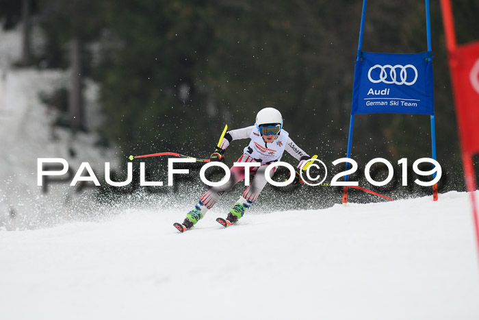 DSV Deutscher Schülercup U12 Finale 2019, Race Cross 02.03.2019