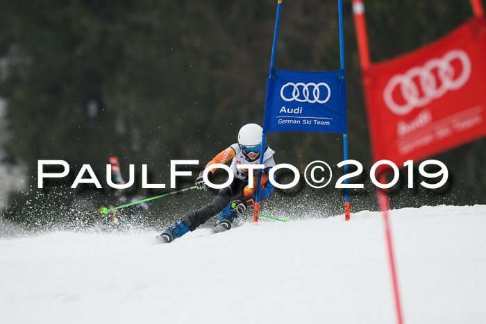 DSV Deutscher Schülercup U12 Finale 2019, Race Cross 02.03.2019
