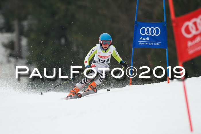 DSV Deutscher Schülercup U12 Finale 2019, Race Cross 02.03.2019