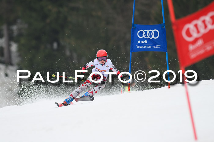 DSV Deutscher Schülercup U12 Finale 2019, Race Cross 02.03.2019