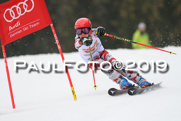 DSV Deutscher Schülercup U12 Finale 2019, Race Cross 02.03.2019