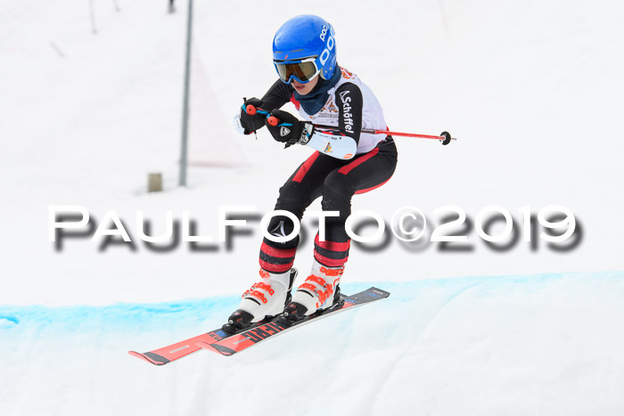 DSV Deutscher Schülercup U12 Finale 2019, Race Cross 02.03.2019