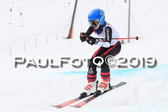DSV Deutscher Schülercup U12 Finale 2019, Race Cross 02.03.2019