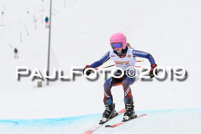 DSV Deutscher Schülercup U12 Finale 2019, Race Cross 02.03.2019