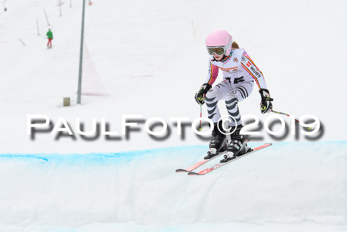DSV Deutscher Schülercup U12 Finale 2019, Race Cross 02.03.2019