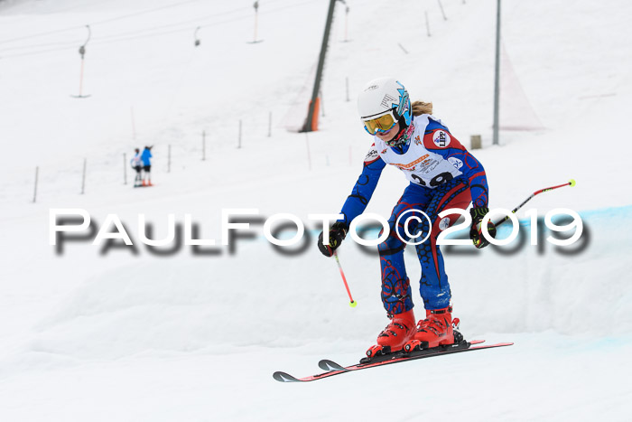 DSV Deutscher Schülercup U12 Finale 2019, Race Cross 02.03.2019