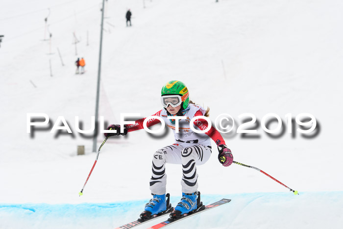 DSV Deutscher Schülercup U12 Finale 2019, Race Cross 02.03.2019