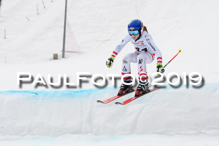 DSV Deutscher Schülercup U12 Finale 2019, Race Cross 02.03.2019