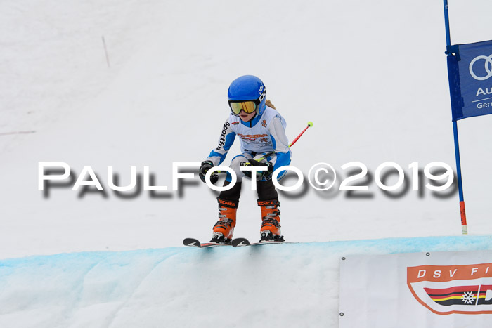 DSV Deutscher Schülercup U12 Finale 2019, Race Cross 02.03.2019