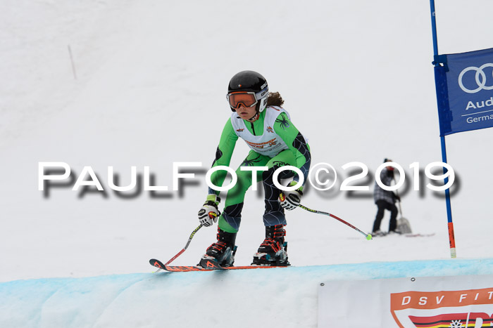 DSV Deutscher Schülercup U12 Finale 2019, Race Cross 02.03.2019