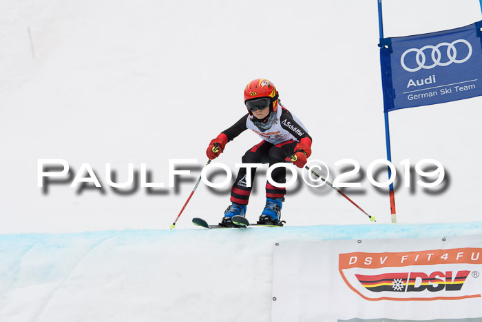 DSV Deutscher Schülercup U12 Finale 2019, Race Cross 02.03.2019