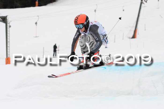 DSV Deutscher Schülercup U12 Finale 2019, Race Cross 02.03.2019
