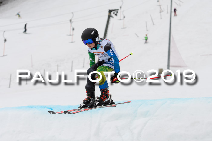 DSV Deutscher Schülercup U12 Finale 2019, Race Cross 02.03.2019