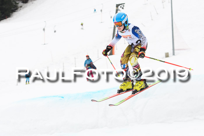 DSV Deutscher Schülercup U12 Finale 2019, Race Cross 02.03.2019