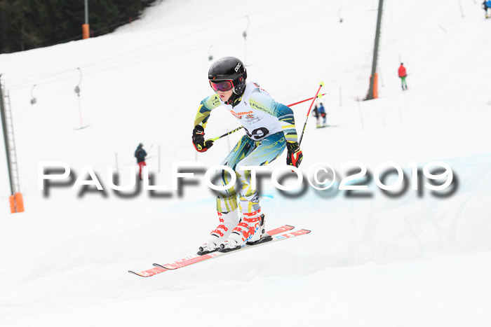 DSV Deutscher Schülercup U12 Finale 2019, Race Cross 02.03.2019