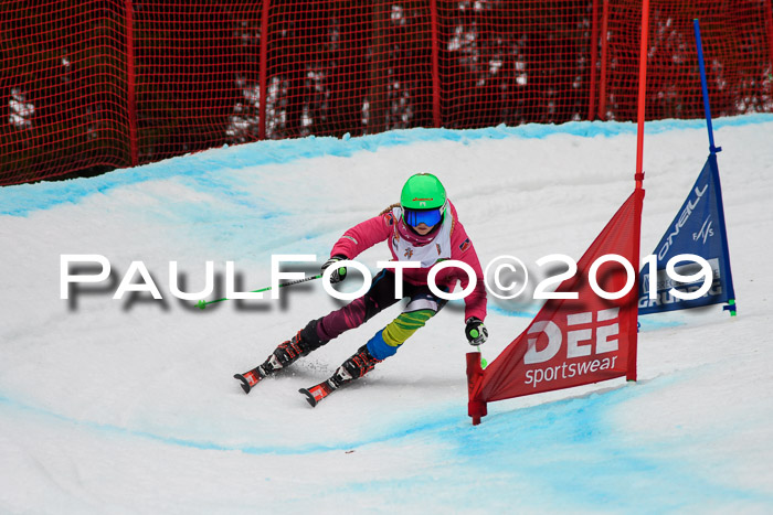 DSV Deutscher Schülercup U12 Finale 2019, Race Cross 02.03.2019