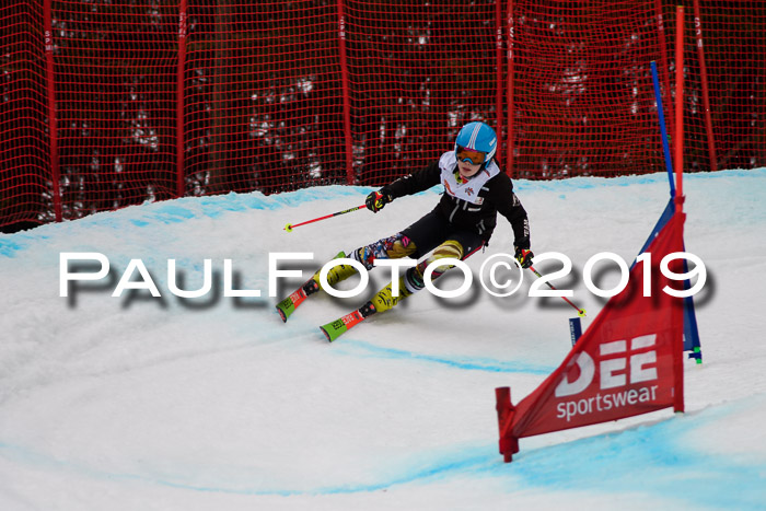 DSV Deutscher Schülercup U12 Finale 2019, Race Cross 02.03.2019