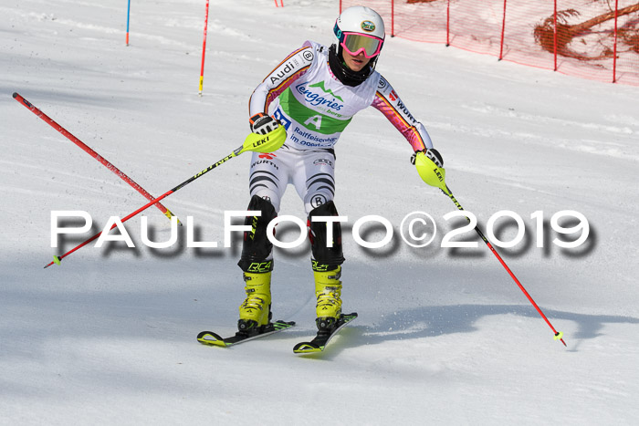 FIS Slalom Damen + NJR Herren, Lenggries 03.03.2019