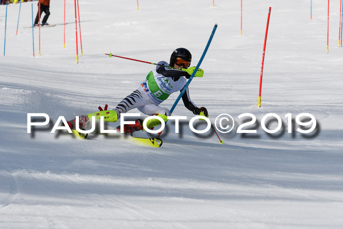 FIS Slalom Damen + NJR Herren, Lenggries 03.03.2019