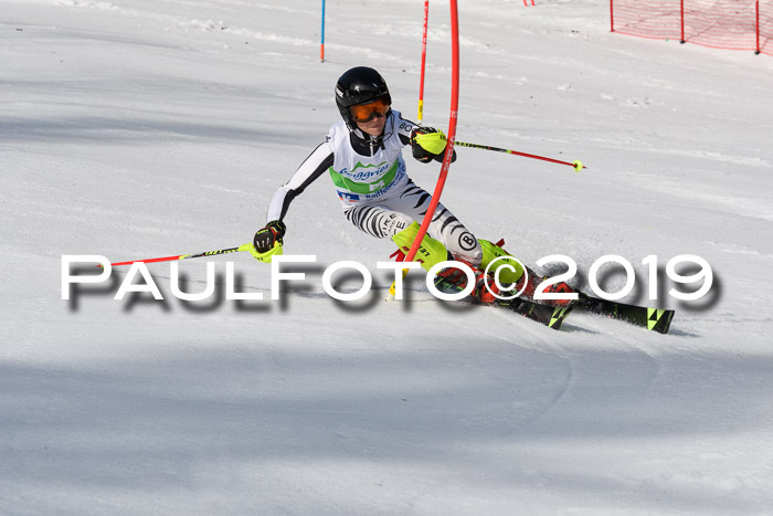 FIS Slalom Damen + NJR Herren, Lenggries 03.03.2019