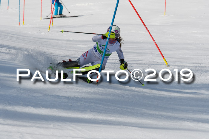 FIS Slalom Damen + NJR Herren, Lenggries 03.03.2019