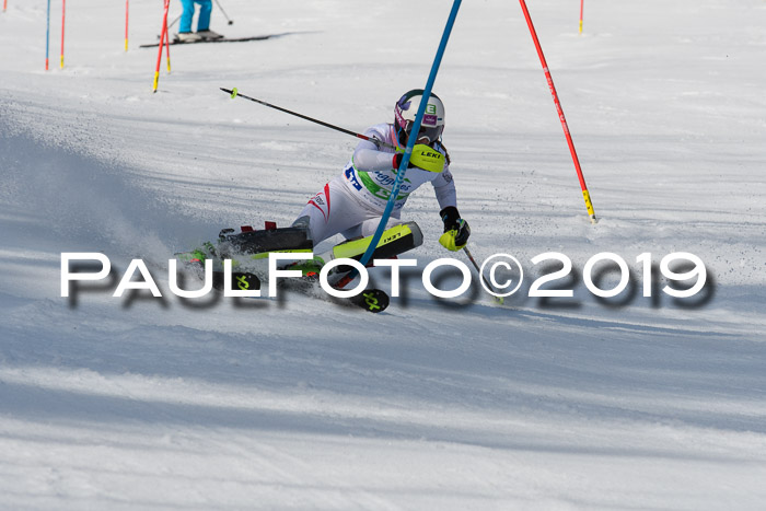 FIS Slalom Damen + NJR Herren, Lenggries 03.03.2019