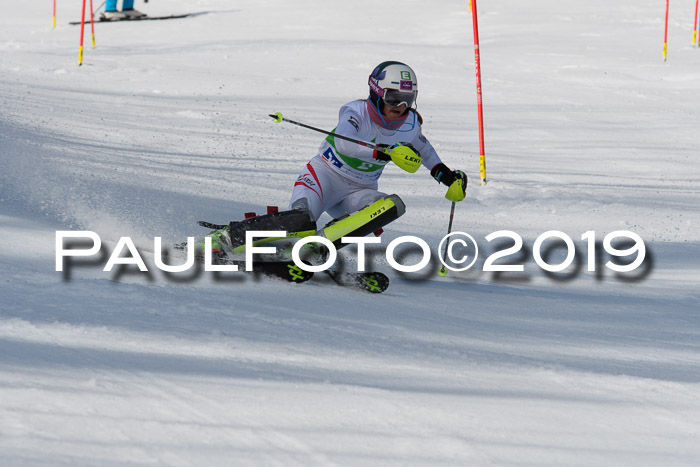 FIS Slalom Damen + NJR Herren, Lenggries 03.03.2019