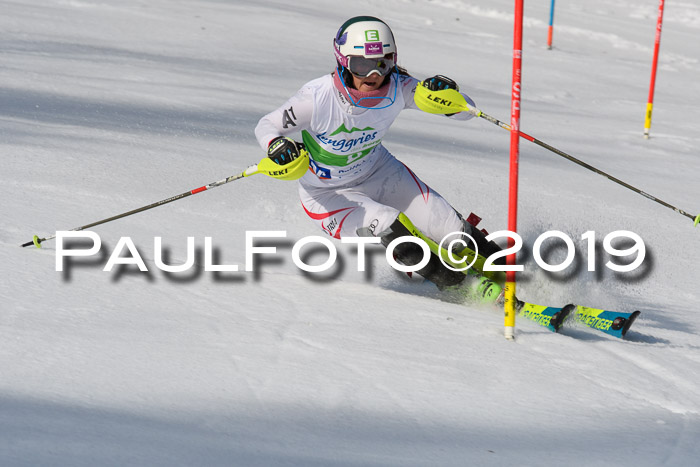 FIS Slalom Damen + NJR Herren, Lenggries 03.03.2019