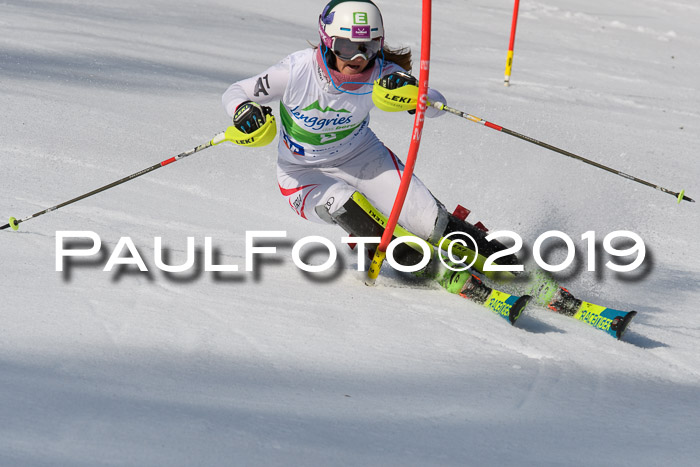 FIS Slalom Damen + NJR Herren, Lenggries 03.03.2019