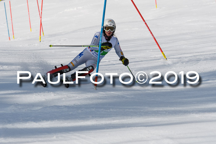 FIS Slalom Damen + NJR Herren, Lenggries 03.03.2019