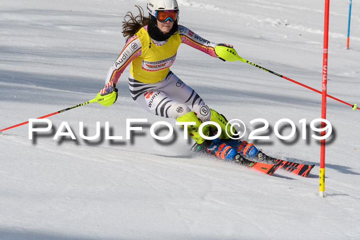 FIS Slalom Damen + NJR Herren, Lenggries 03.03.2019