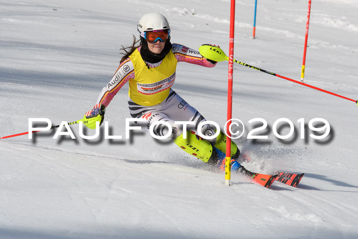 FIS Slalom Damen + NJR Herren, Lenggries 03.03.2019