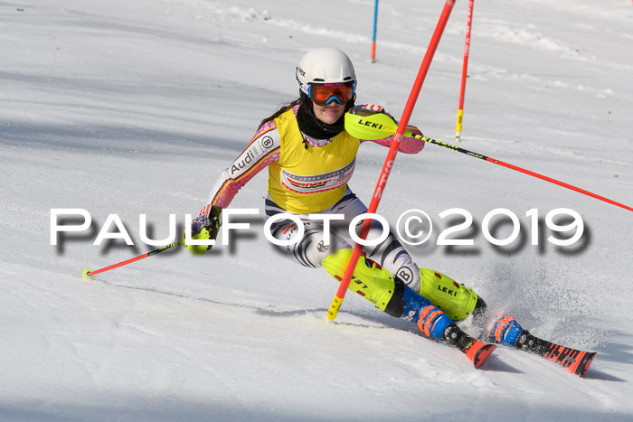 FIS Slalom Damen + NJR Herren, Lenggries 03.03.2019