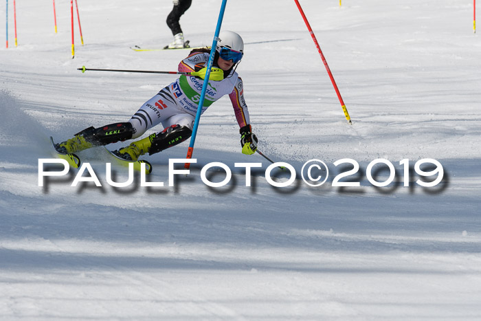 FIS Slalom Damen + NJR Herren, Lenggries 03.03.2019