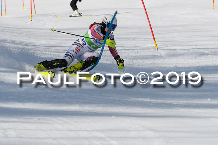 FIS Slalom Damen + NJR Herren, Lenggries 03.03.2019