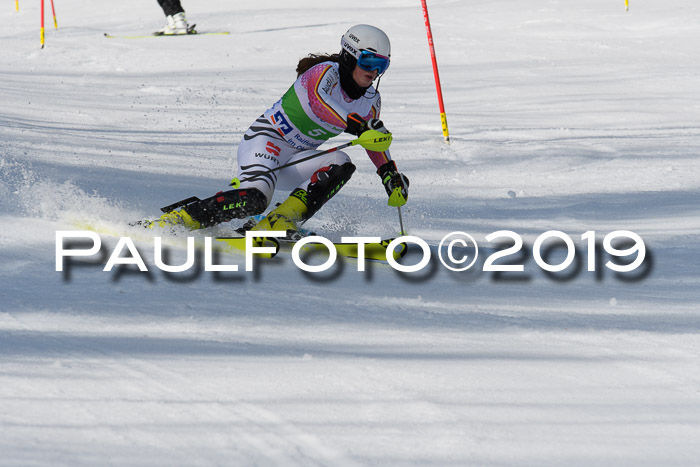 FIS Slalom Damen + NJR Herren, Lenggries 03.03.2019