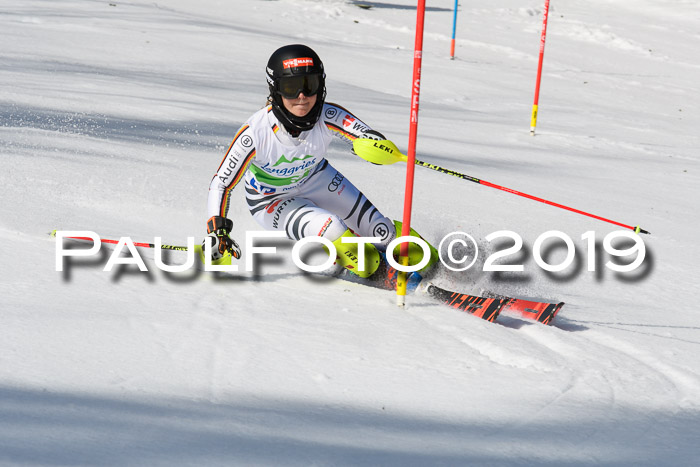 FIS Slalom Damen + NJR Herren, Lenggries 03.03.2019